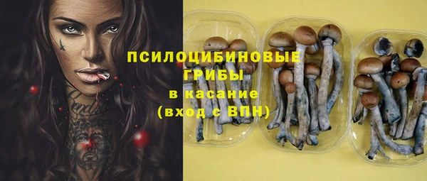 амф Балахна