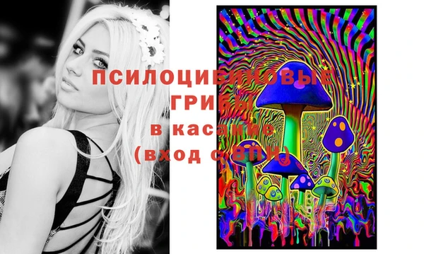 амф Балахна