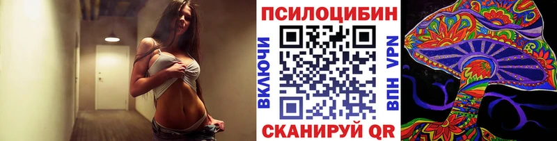 Псилоцибиновые грибы Psilocybine cubensis  Лаишево 